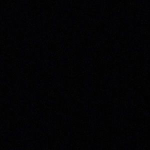 Meet your Posher, Daisy